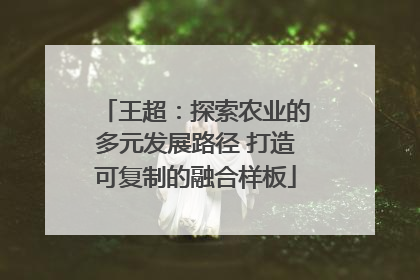 王超：探索农业的多元发展路径 打造可复制的融合样板