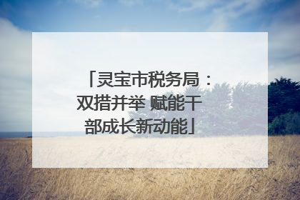 灵宝市税务局：双措并举 赋能干部成长新动能