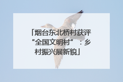 烟台东北桥村获评“全国文明村”：乡村振兴展新貌