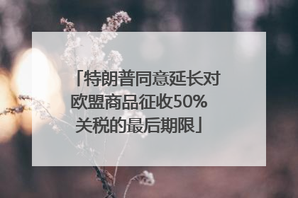 特朗普同意延长对欧盟商品征收50%关税的最后期限