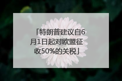 特朗普建议自6月1日起对欧盟征收50%的关税