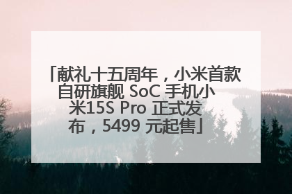 献礼十五周年，小米首款自研旗舰 SoC 手机小米15S Pro 正式发布，5499 元起售