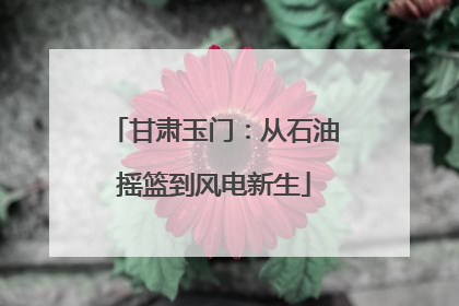 甘肃玉门：从石油摇篮到风电新生