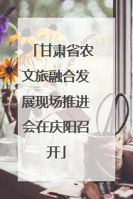 甘肃省农文旅融合发展现场推进会在庆阳召开