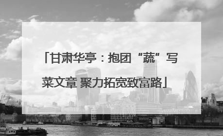 甘肃华亭：抱团“蔬”写菜文章 聚力拓宽致富路