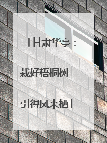 甘肃华亭：栽好梧桐树 引得凤来栖