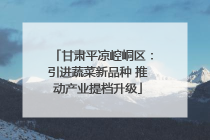 甘肃平凉崆峒区：引进蔬菜新品种 推动产业提档升级