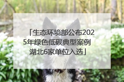 生态环境部公布2025年绿色低碳典型案例 湖北6家单位入选