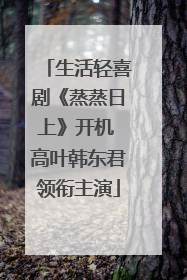 生活轻喜剧《蒸蒸日上》开机 高叶韩东君领衔主演