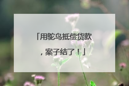 用鸵鸟抵偿货款，案子结了！