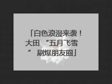 白色浪漫来袭！大田 “五月飞雪” 刷爆朋友圈