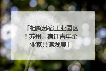 相聚苏宿工业园区！苏州、宿迁青年企业家共谋发展