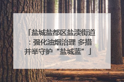 盐城盐都区盐渎街道：强化油烟治理 多措并举守护“盐城蓝”
