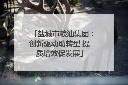 盐城市粮油集团：创新驱动助转型 提质增效促发展