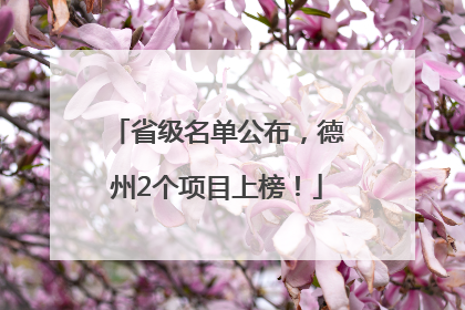 省级名单公布，德州2个项目上榜！