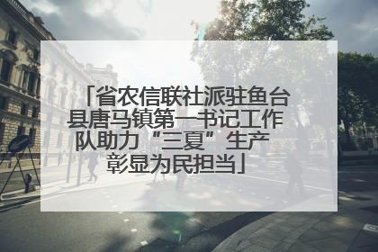 省农信联社派驻鱼台县唐马镇第一书记工作队助力“三夏”生产 彰显为民担当