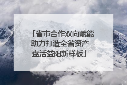省市合作双向赋能 助力打造全省资产盘活益阳新样板