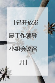 省开放发展工作领导小组会议召开
