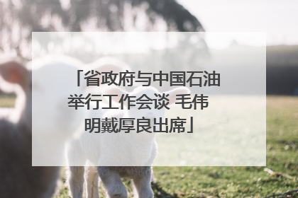 省政府与中国石油举行工作会谈 毛伟明戴厚良出席