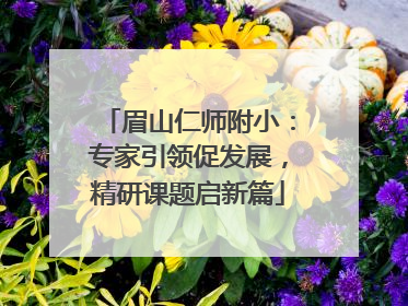 眉山仁师附小：专家引领促发展，精研课题启新篇