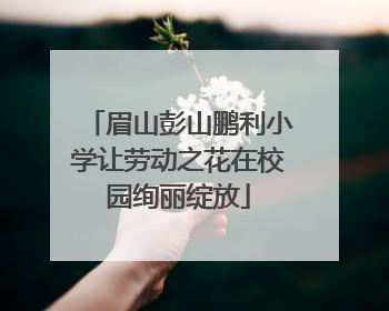 眉山彭山鹏利小学让劳动之花在校园绚丽绽放