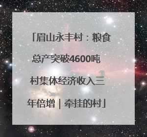 眉山永丰村：粮食总产突破4600吨 村集体经济收入三年倍增｜牵挂的村