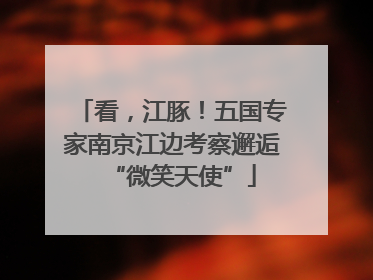 看，江豚！五国专家南京江边考察邂逅“微笑天使”