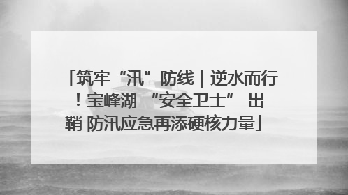 筑牢“汛”防线｜逆水而行！宝峰湖 “安全卫士” 出鞘 防汛应急再添硬核力量