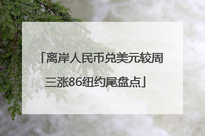 离岸人民币兑美元较周三涨86纽约尾盘点