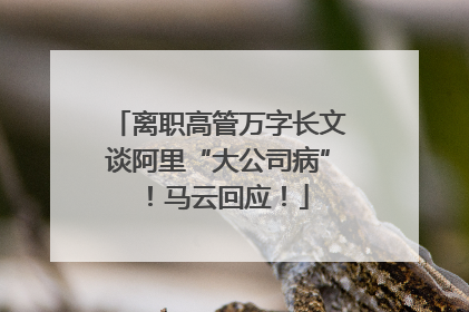离职高管万字长文谈阿里“大公司病”！马云回应！