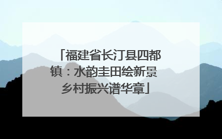 福建省长汀县四都镇：水韵圭田绘新景 乡村振兴谱华章