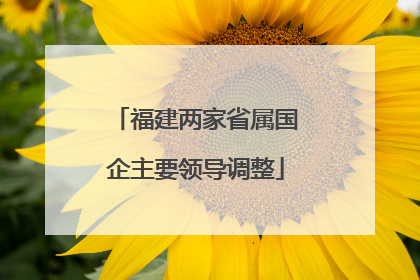 福建两家省属国企主要领导调整