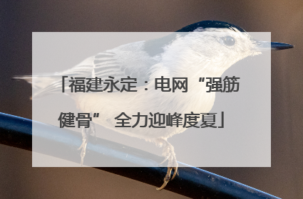 福建永定：电网“强筋健骨” 全力迎峰度夏