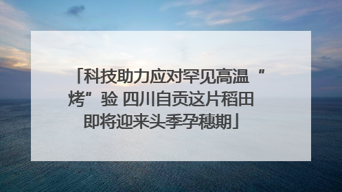 科技助力应对罕见高温“烤”验 四川自贡这片稻田即将迎来头季孕穗期