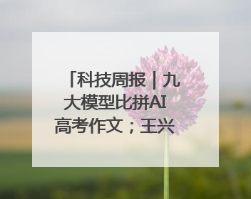 科技周报｜九大模型比拼AI高考作文；王兴兴回应机器人比赛价值