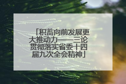 积蓄向前发展更大推动力——三论贯彻落实省委十四届九次全会精神