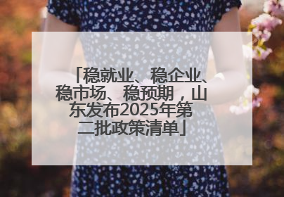 稳就业、稳企业、稳市场、稳预期，山东发布2025年第二批政策清单