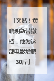 突然！黄晓明新片撤档，他为这部电影增肥30斤