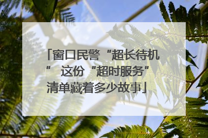 窗口民警“超长待机” 这份“超时服务”清单藏着多少故事