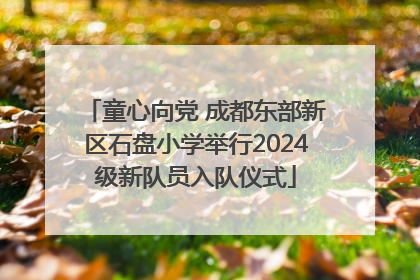 童心向党 成都东部新区石盘小学举行2024级新队员入队仪式