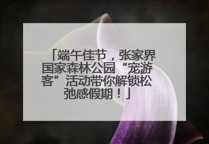 端午佳节，张家界国家森林公园“宠游客”活动带你解锁松弛感假期！