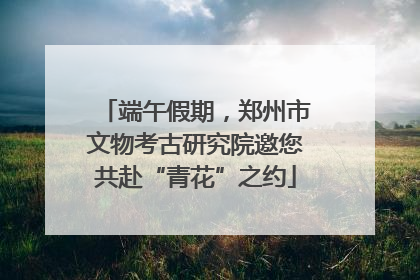 端午假期，郑州市文物考古研究院邀您共赴“青花”之约