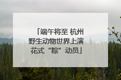 端午将至 杭州野生动物世界上演花式“粽”动员