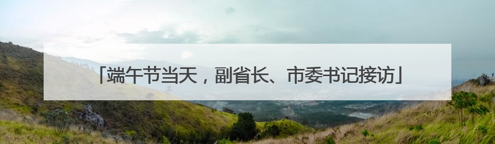 端午节当天，副省长、市委书记接访