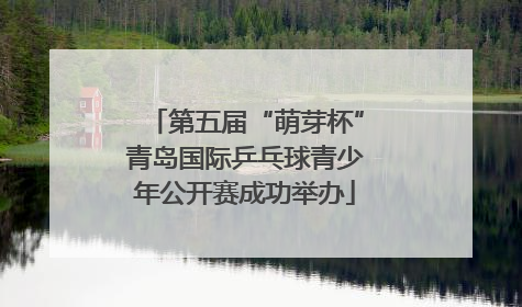 第五届“萌芽杯”青岛国际乒乓球青少年公开赛成功举办