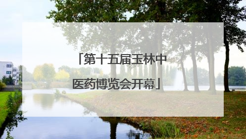 第十五届玉林中医药博览会开幕