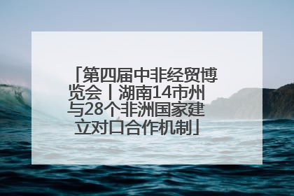 第四届中非经贸博览会丨湖南14市州与28个非洲国家建立对口合作机制