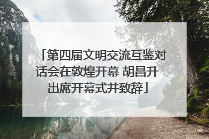 第四届文明交流互鉴对话会在敦煌开幕 胡昌升出席开幕式并致辞