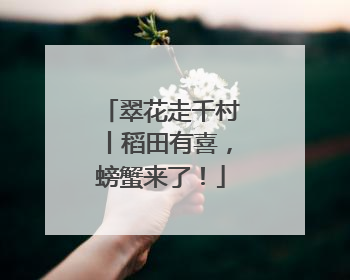 翠花走千村丨稻田有喜，螃蟹来了！