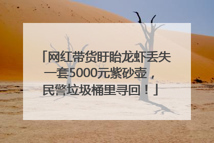 网红带货盱眙龙虾丢失一套5000元紫砂壶，民警垃圾桶里寻回！
